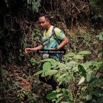 Runner Photo 8394504