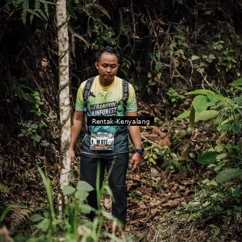 Runner Photo 8394507