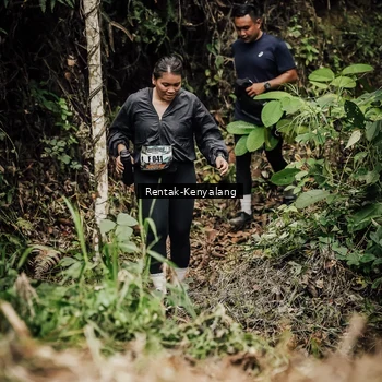 Runner Photo 8394518