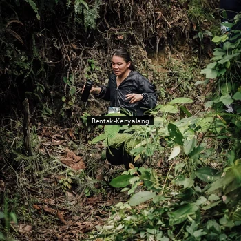 Runner Photo 8394521