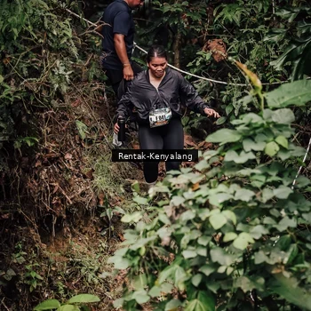 Runner Photo 8394524