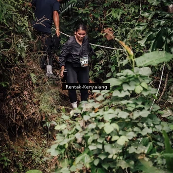 Runner Photo 8394526