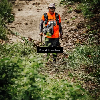 Runner Photo 8394564