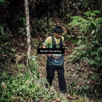 Runner Photo 8394581