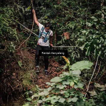 Runner Photo 8394585