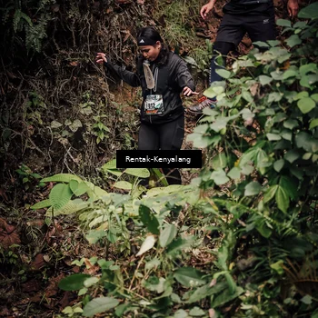 Runner Photo 8394627