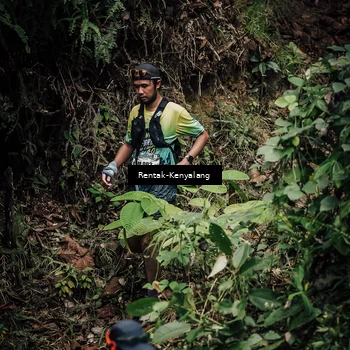 Runner Photo 8394657