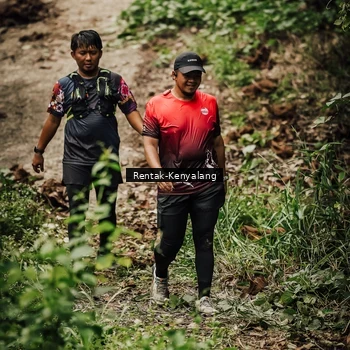 Runner Photo 8394663