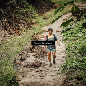 Runner Photo 8394723