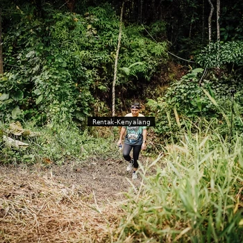 Runner Photo 8394916