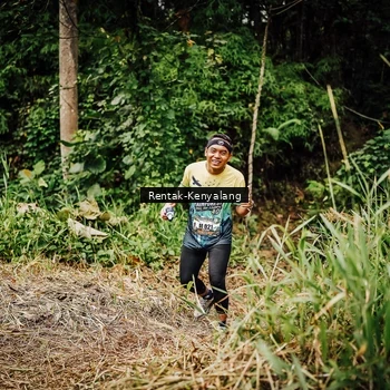 Runner Photo 8394919
