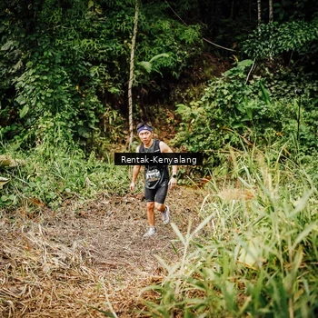 Runner Photo 8394957