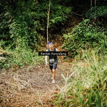 Runner Photo 8394958