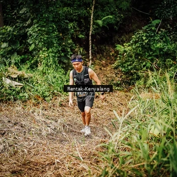 Runner Photo 8394959