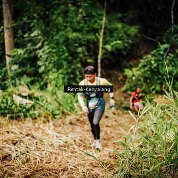 Runner Photo 8394962