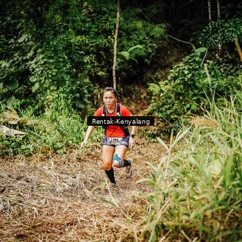 Runner Photo 8394965
