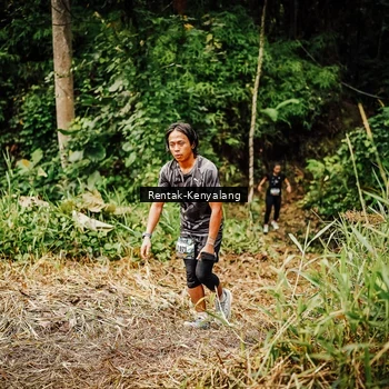Runner Photo 8394975