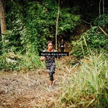 Runner Photo 8394976
