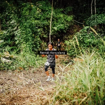 Runner Photo 8394977