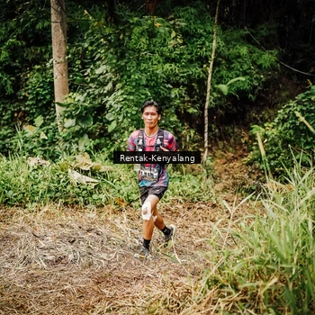 Runner Photo 8394980