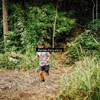 Runner Photo 8394984