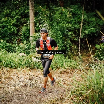 Runner Photo 8394986