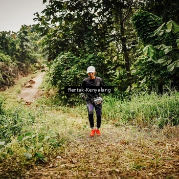 Runner Photo 8394995