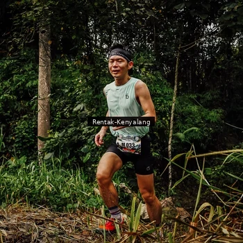 Runner Photo 8395061