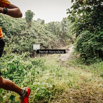 Runner Photo 8395065