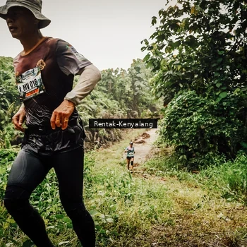 Runner Photo 8395066