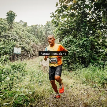 Runner Photo 8395068