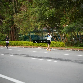Runner Photo 8398373