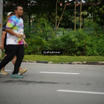 Runner Photo 8398968
