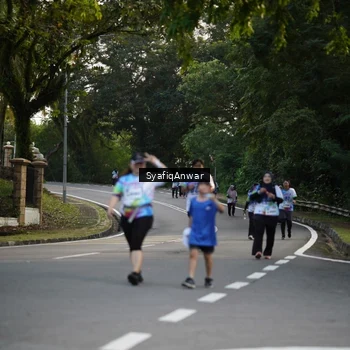 Runner Photo 8399964