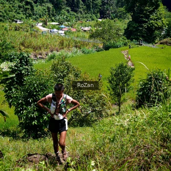 Runner Photo 84000