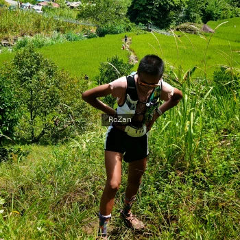 Runner Photo 84024