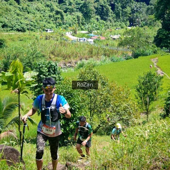 Runner Photo 84059