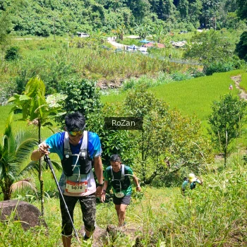 Runner Photo 84063