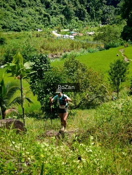 Runner Photo 84087