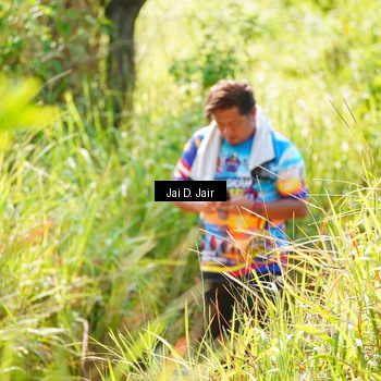 Runner Photo 8409949