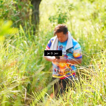 Runner Photo 8409963