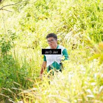 Runner Photo 8410187