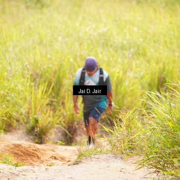 Runner Photo 8410512