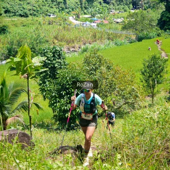 Runner Photo 84107