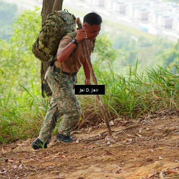 Runner Photo 8410937