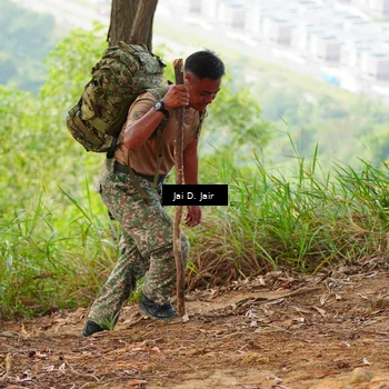 Runner Photo 8410945