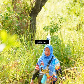 Runner Photo 8411385