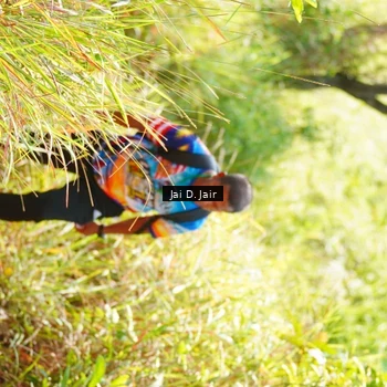 Runner Photo 8411534