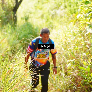 Runner Photo 8411538