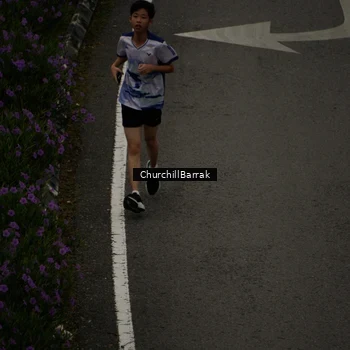 Runner Photo 8411607